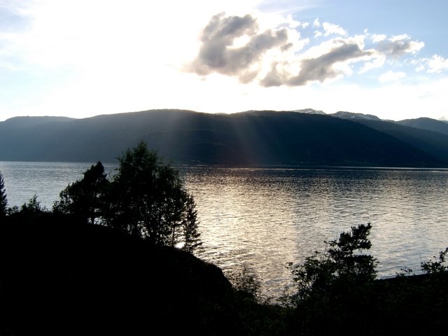 Photograph