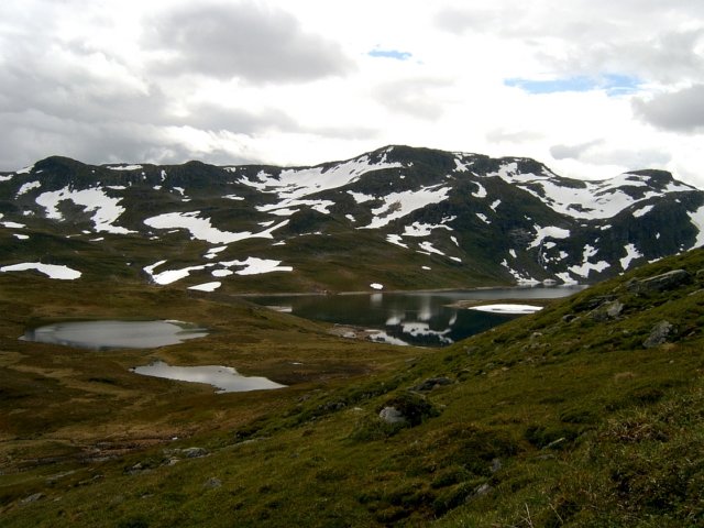 Photograph